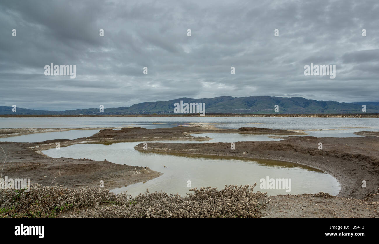 East Bay Bergen an einem bewölkten Tag. Alviso Marina County Park, Santa Clara County, Kalifornien Stockfoto