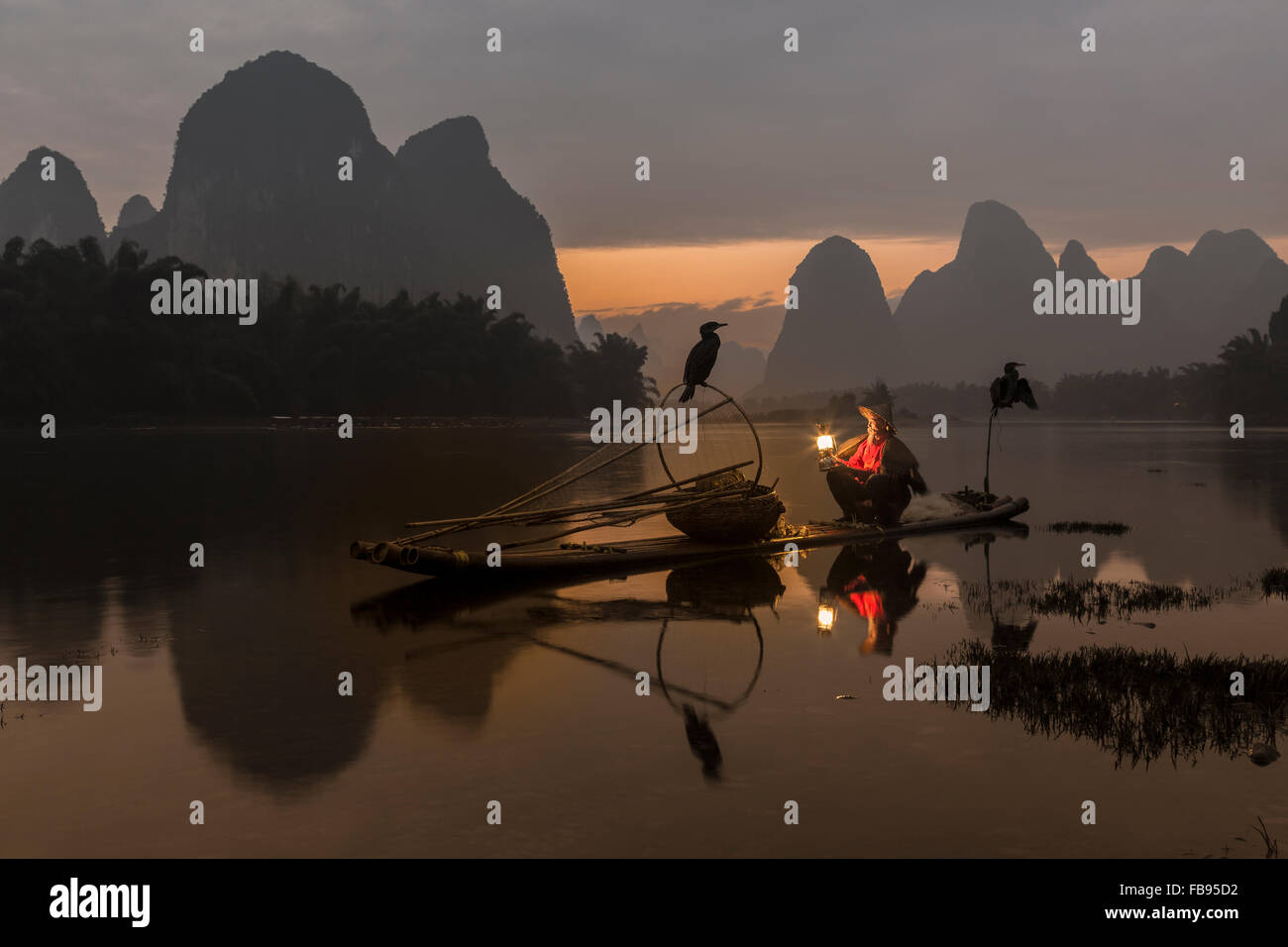 Li-Fluss - Xingping, China. Januar 2016 - bereitet sich ein alter Fischer mit seiner Kormorane Fischen gehen. Stockfoto