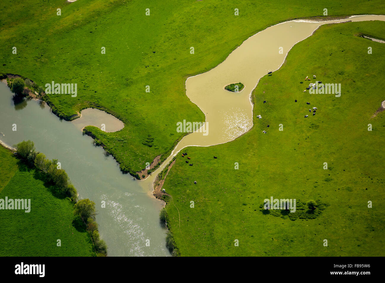 Luftaufnahme, in Bögen fließende Fluss Lippe, die Lippe Wiederherstellung der Lippeauen in der Region Hamm, Lippe, Mäander, LIFE + Projekt, Stockfoto