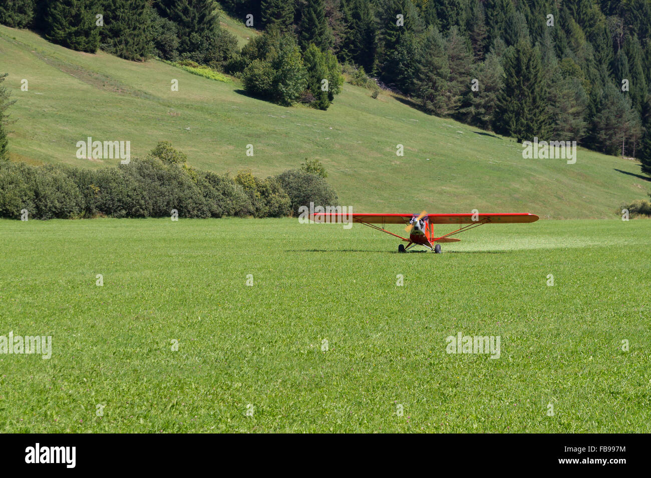 Leichte rote Flugzeug Landung auf einer grünen Wiese, Transport, outdoor Stockfoto