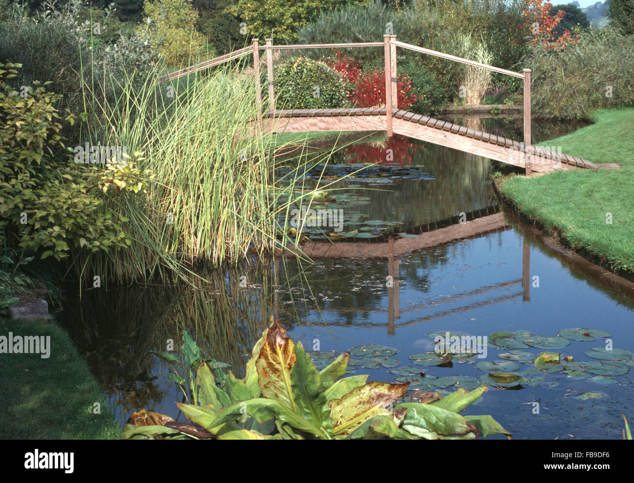 Gräser wachsen durch Strom mit einer Holzbrücke in einen großen Garten Stockfoto