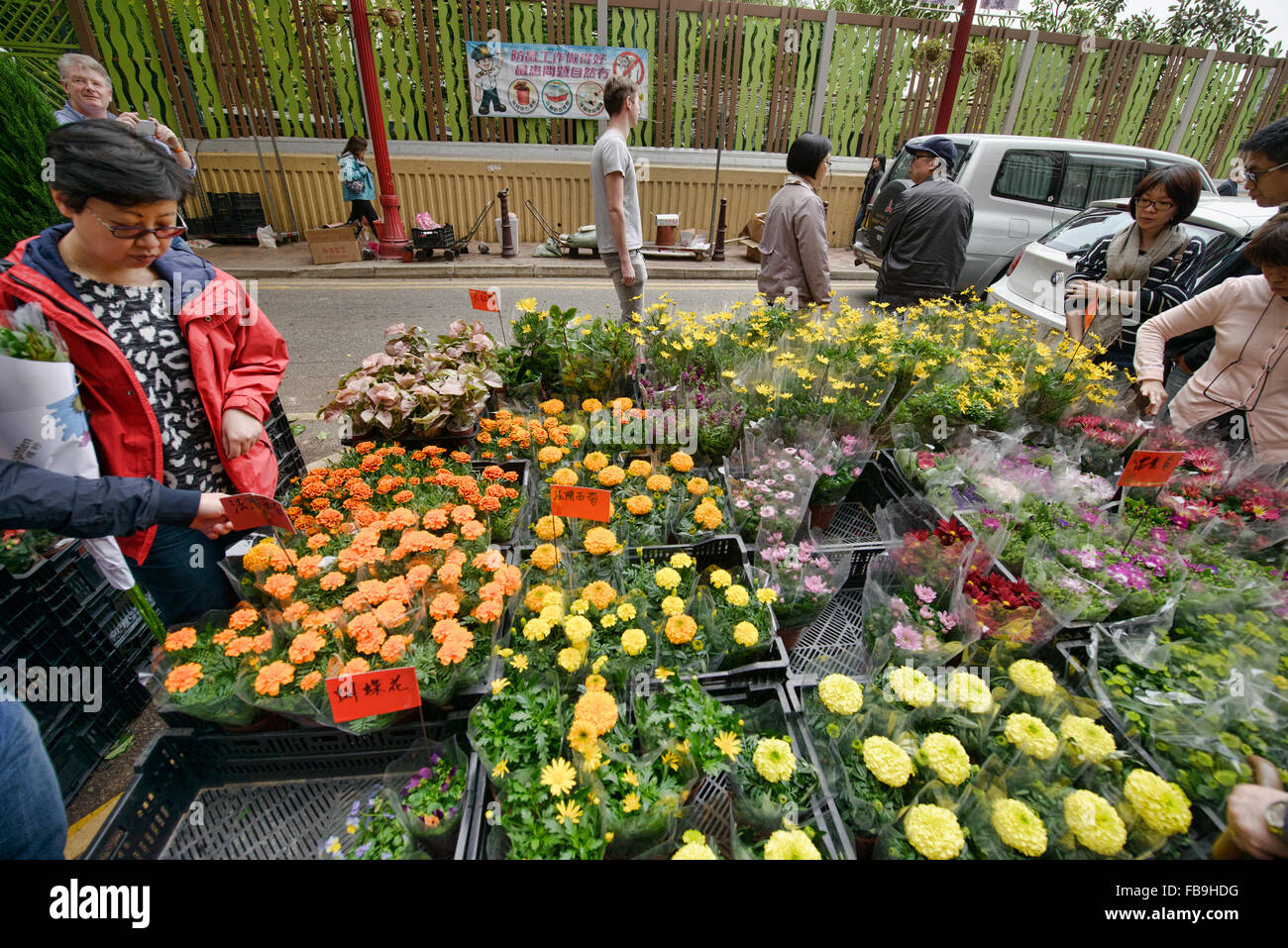 Szenen aus der belebten Blumenmarkt in Mongkok, Hong Kong Stockfoto