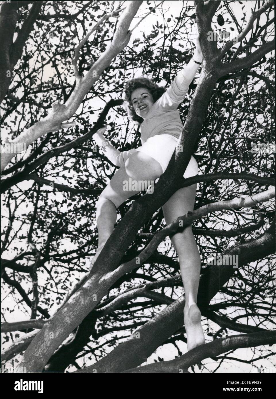 1962 - wir Bogen um dieses Mädchen von Zweigen: Zwei Arten von Gliedmaßen hier. Die formschöne Glieder der Baum Liebhaber Marilyn Davies, und die Glieder von den hohen Bäumen, in denen sie liebt es, sich zu entfalten. Marilyn ist wie zu Hause in den Wäldern als vor den Fernsehkameras - aber sie lieber unter freiem Himmel Leben des ersteren. © Keystone Bilder USA/ZUMAPRESS.com/Alamy Live-Nachrichten Stockfoto