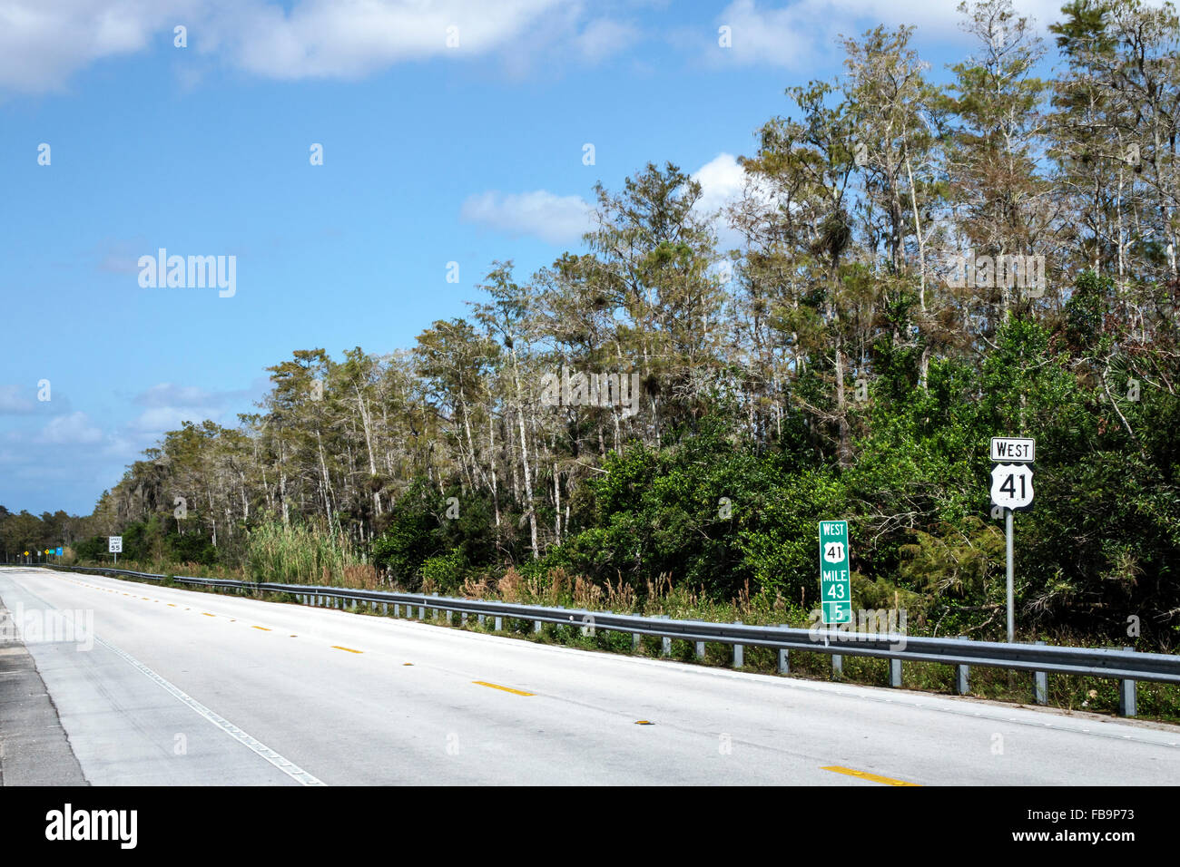 Miami Florida, Everglades, Tamiami Trail, Highway Route 41, Zypressen, Besucher reisen Reise Tour Tourismus Wahrzeichen Kultur Kultur Stockfoto