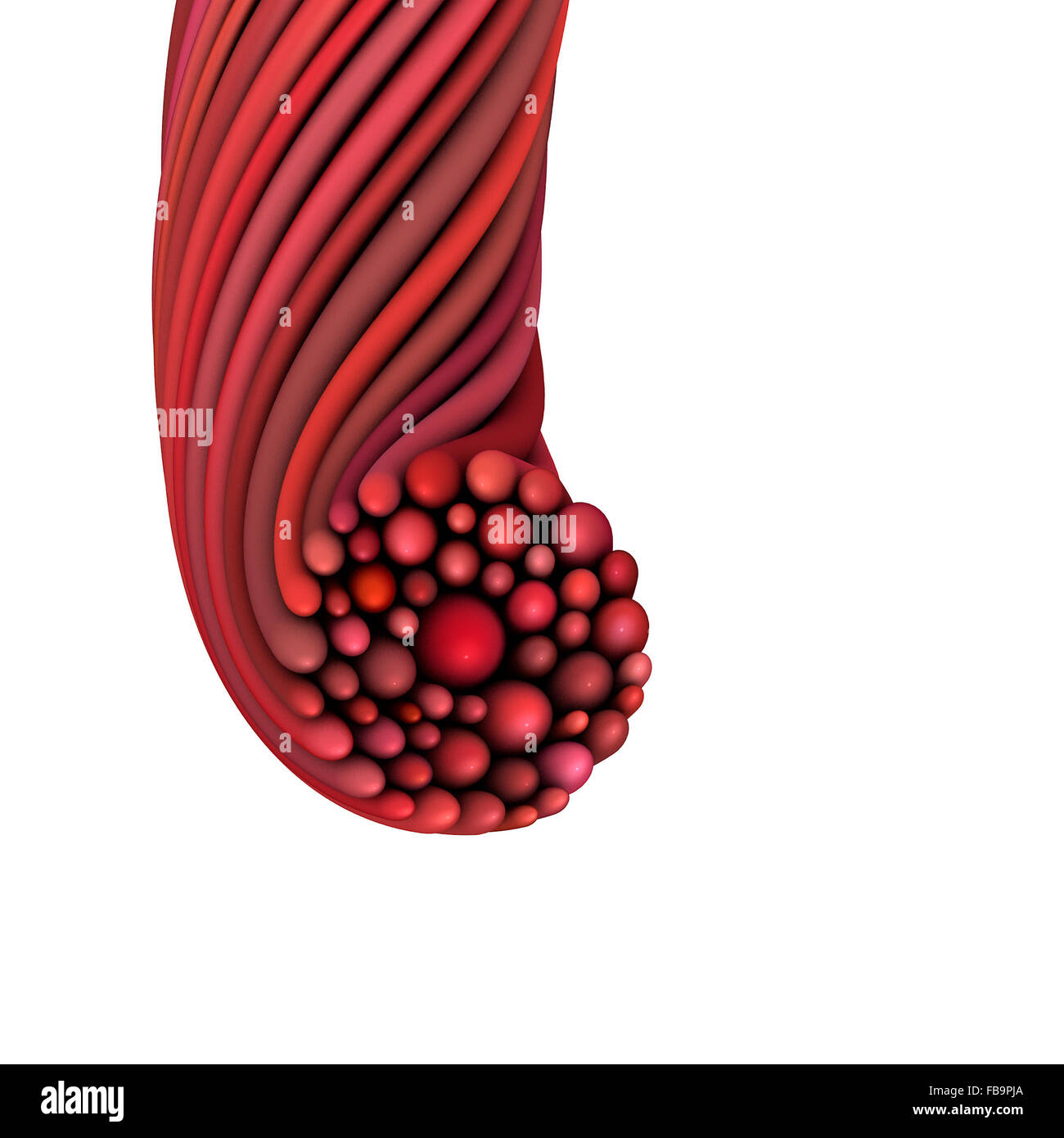 3D abstrakt verdreht rote Mischfarbe Zeichenfolge Form auf weiß Stockfoto