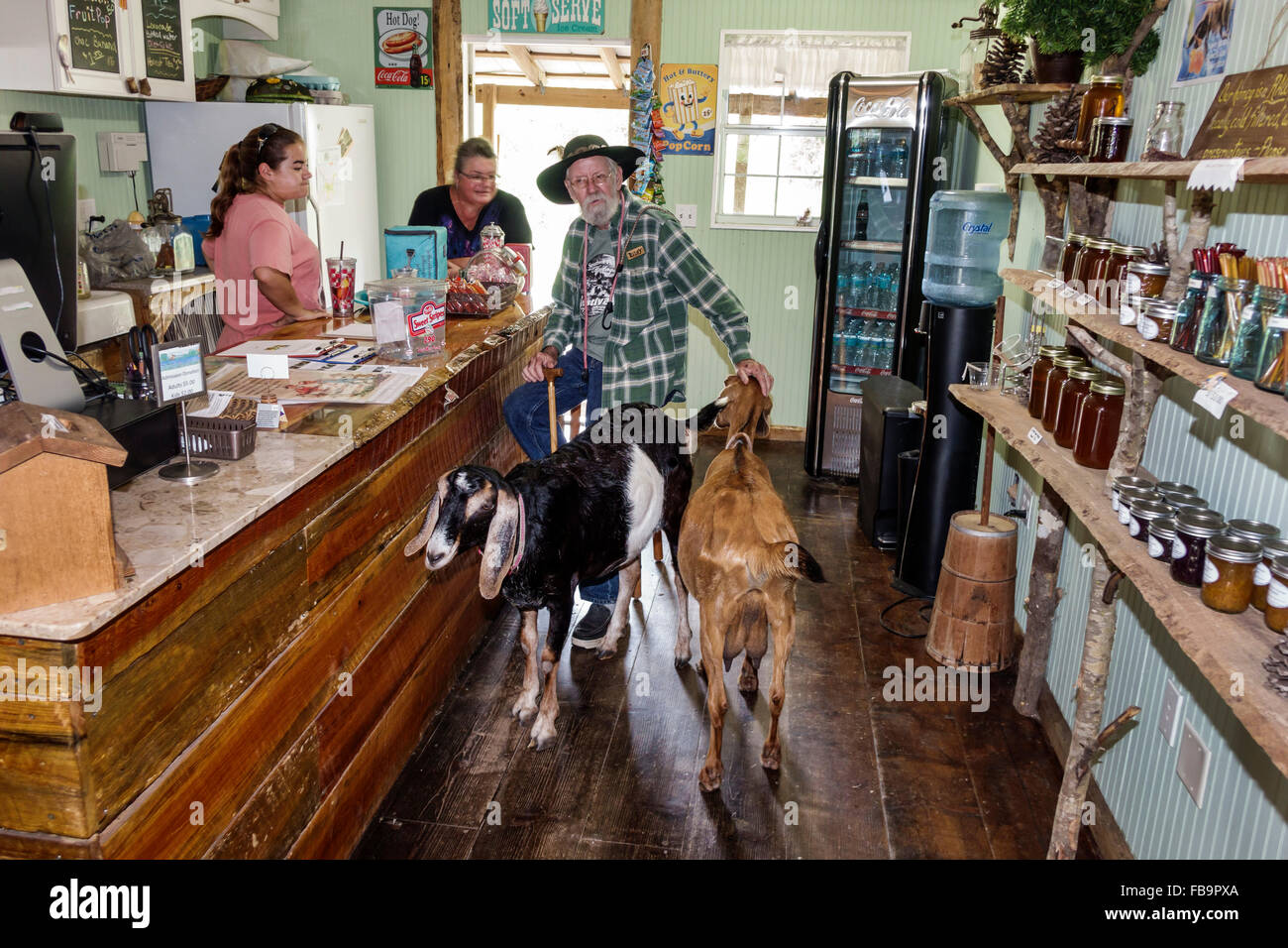 Arasota Florida, Crowley Working Heritage Farm Museum & Nature Center, Zentrum, Freiwillige Freiwillige Community Service Freiwillige Arbeiter, t Stockfoto