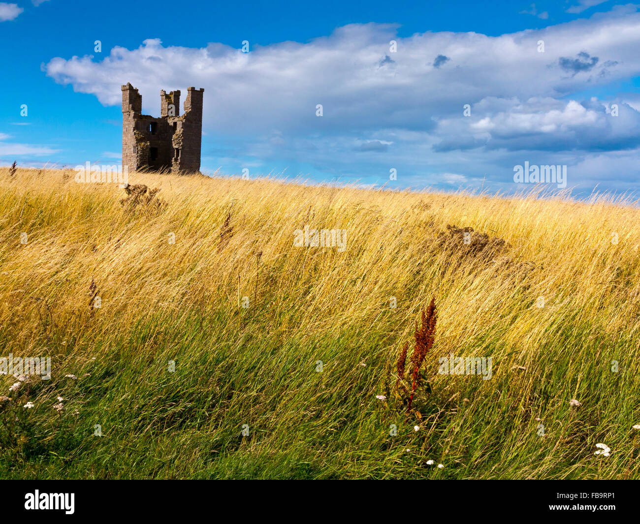Lilburn Turm Teil der Ruinen von Dunstanburgh Castle in Northumberland-Nord-Ost England UK Stockfoto