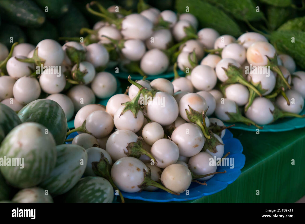 Thai Auberginen auf Platten Stockfoto