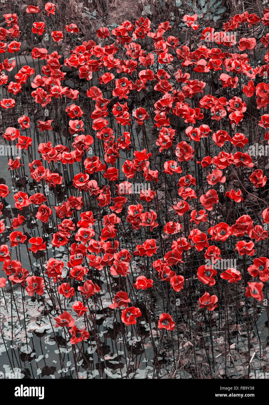 Helle rote Keramik Mohn Skulptur The Wave in Yorkshire Sculpture Park repräsentiert Krieg tot in der Nähe von Barnsley Yorkshire England UK Stockfoto