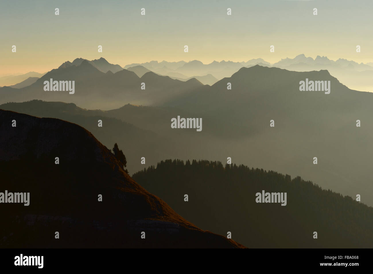 Kurz vor Sonnenaufgang über dem Berner Oberland, Berg-Silhouetten, Dunst reicht in den frühen Morgenstunden, Schweizer Alpen, Schweiz. Stockfoto