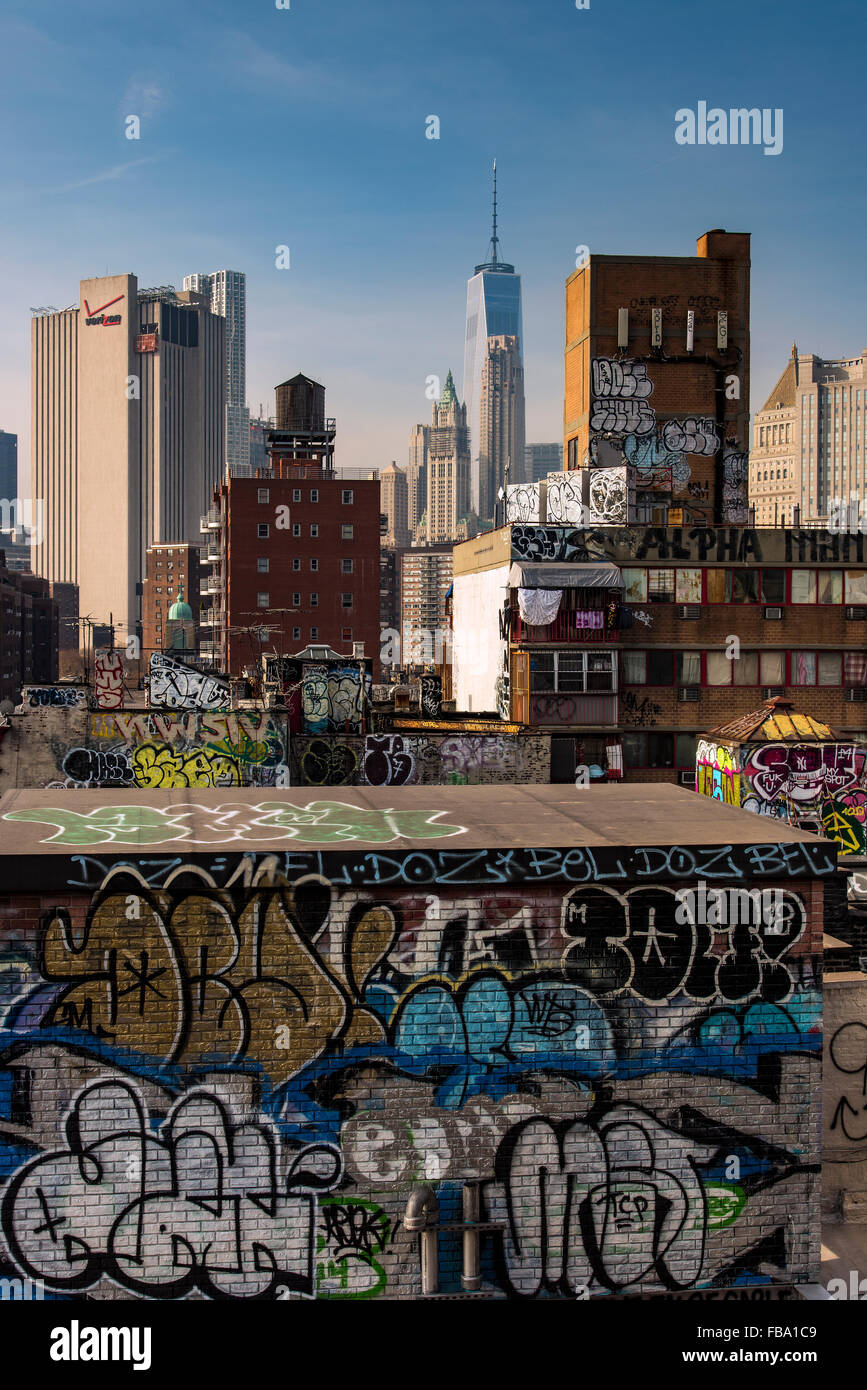 Roof Top Graffiti in Chinatown mit Lower Manhattan Skyline hinter New York, USA Stockfoto