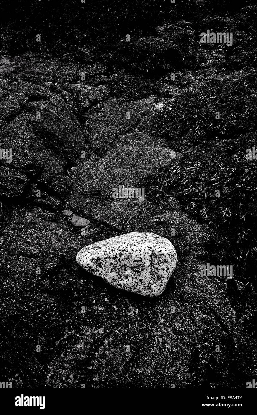 Isolierte leichte weiße abgerundete Granitblock erodieren dunkle Küstenfelsen Stockfoto