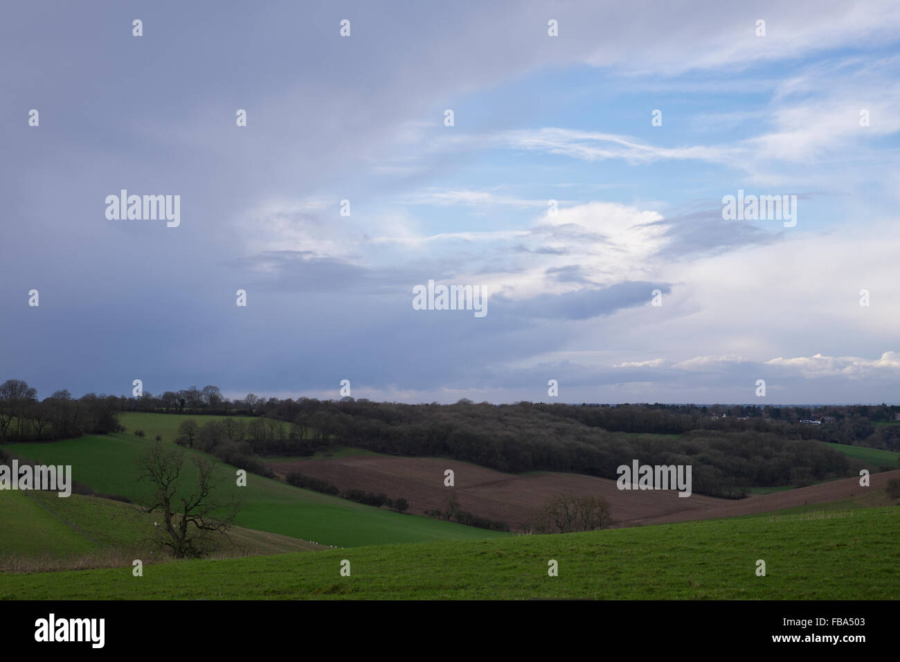 Blick auf die North Downs in Surrey im Winter Vereinigtes Königreich Stockfoto