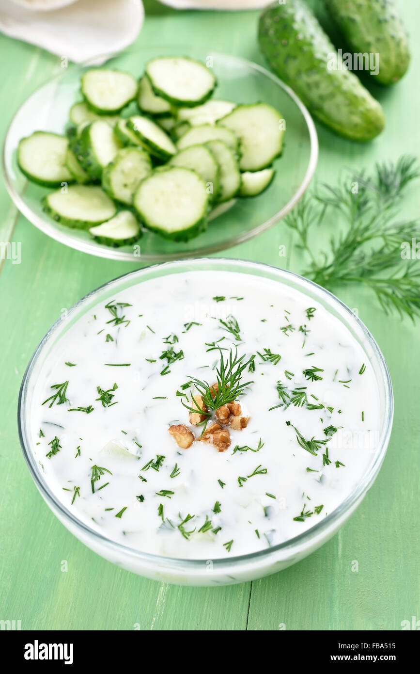 Sommer kalte Suppe mit Joghurt, Gurken, Dill und Walnuss Stockfoto