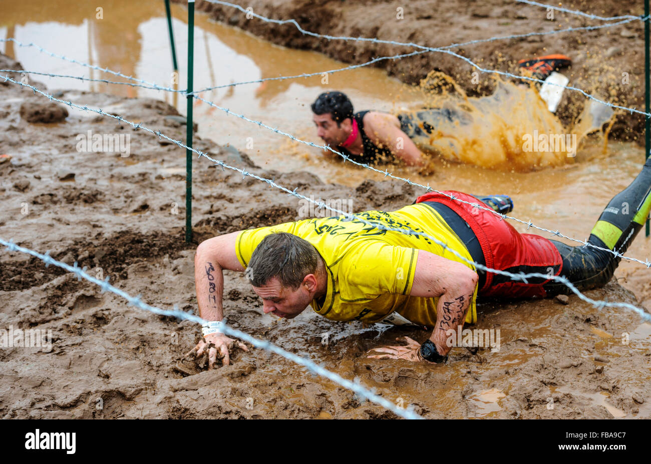 Aktion in der Tough Mudder-Challenge am Drumlanrig Castle, Dumfries and Galloway, Schottland Stockfoto