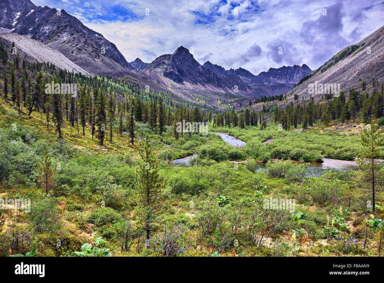 Schönen Sommerlandschaft in den Bergen von Ostsibirien. Tunka reichen. Russland Stockfoto