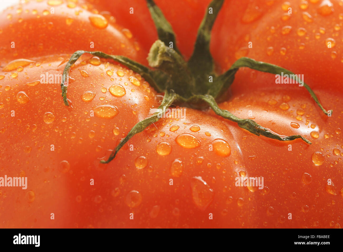 Frische und pralle Beefsteak Tomaten Stockfoto