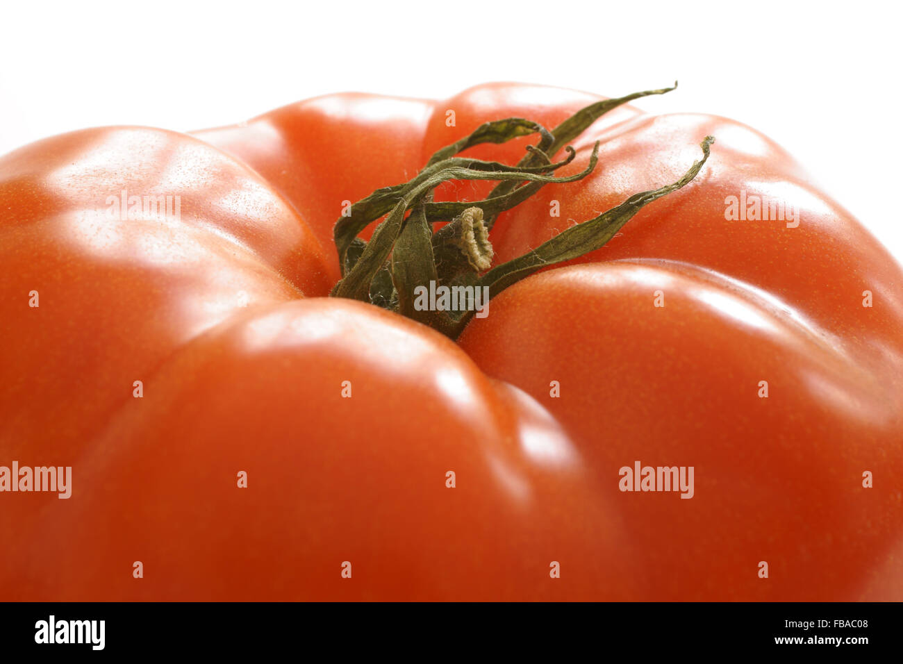 Frische und pralle Beefsteak Tomaten Stockfoto