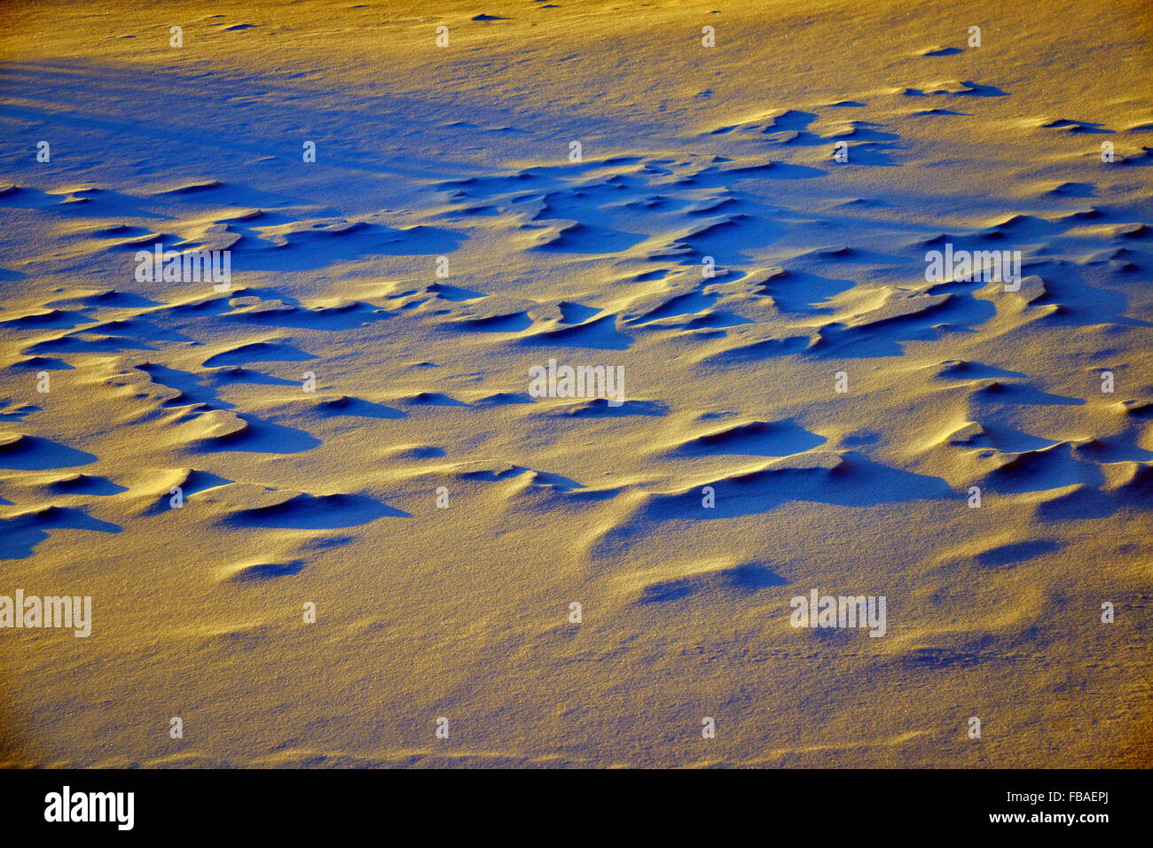 Schneefeld bei Sonnenaufgang Stockfoto