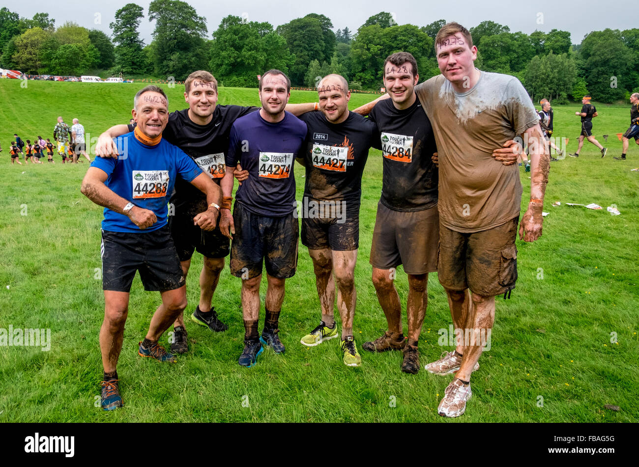 Aktion in der Tough Mudder-Challenge am Drumlanrig Castle, Dumfries and Galloway, Schottland Stockfoto