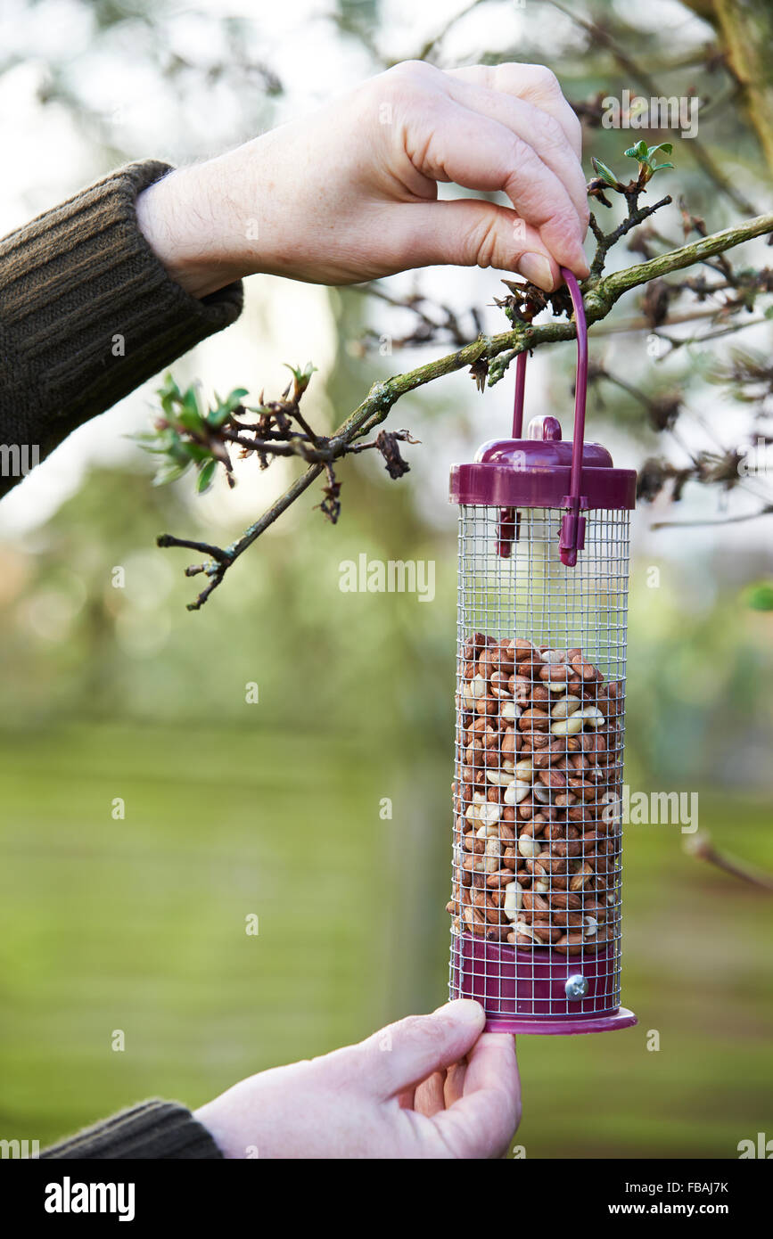 Mann, hängende Futterhäuschen für Vögel im Garten Stockfoto