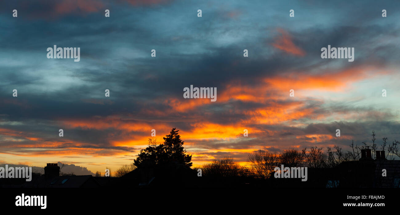 Wimbledon, SW-London, UK. 13. Januar 2016. Panorama von Dächern und Bäumen Silhouette gegen einen orangefarbenen Himmel bei Sonnenuntergang, wenn das Wetter kälter wird. Bildnachweis: Malcolm Park Leitartikel/Alamy Live-Nachrichten Stockfoto