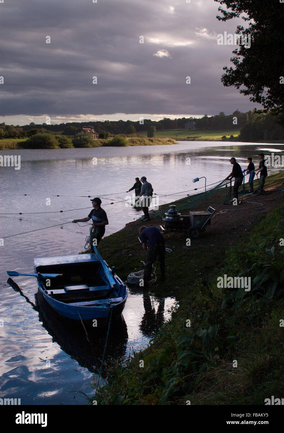 Die Crew von Paxton Fischerei auf dem Fluss Tweed schleppen in ihren Netzen Stockfoto