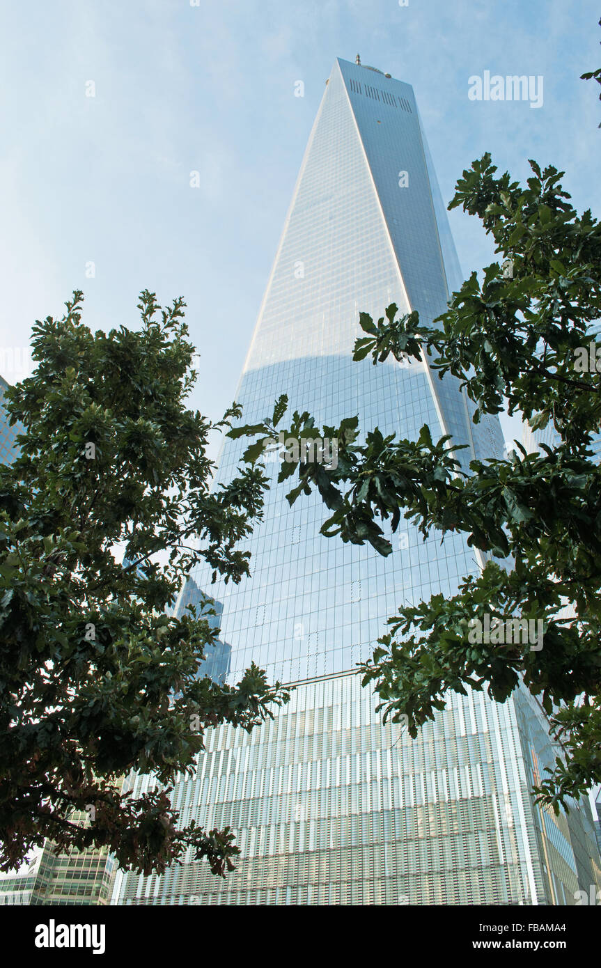 Bäume und Blick auf das One World Trade Center (Turm), dem Hauptgebäude der wiederaufgebauten World Trade Center Komplex in Lower Manhattan, New York Stockfoto