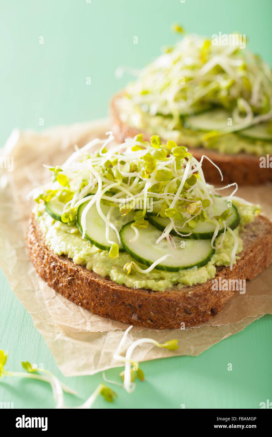 gesunden Avocado-Toast mit Gurken Radieschen Sprossen Stockfoto