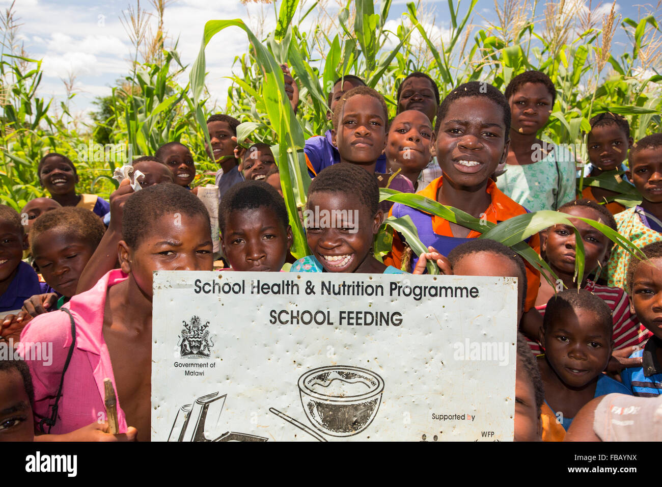 Mitte Januar 2015 ein Zeitraum von drei Tagen der übermäßige regen die kleinen armen afrikanischen Land Malawi beispiellose Überschwemmungen gebracht. Fast ein Viertel von 1 Million Menschen vertrieben, 64.000 Hektar Land verwüstet und mehrere hundert Menschen getötet. Diese Aufnahme zeigt vertriebene Kinder in Baani Flüchtlingslager in der Nähe von Phalombe in einem Mais-Feld, Malawis Subsistenz Essen. Stockfoto