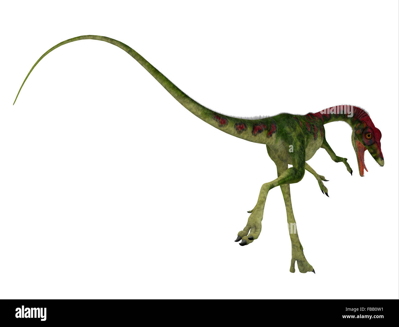 Compsognathus war ein kleiner fleischfressender theropoder Dinosaurier, der während Jura Periode von Europa lebte. Stockfoto