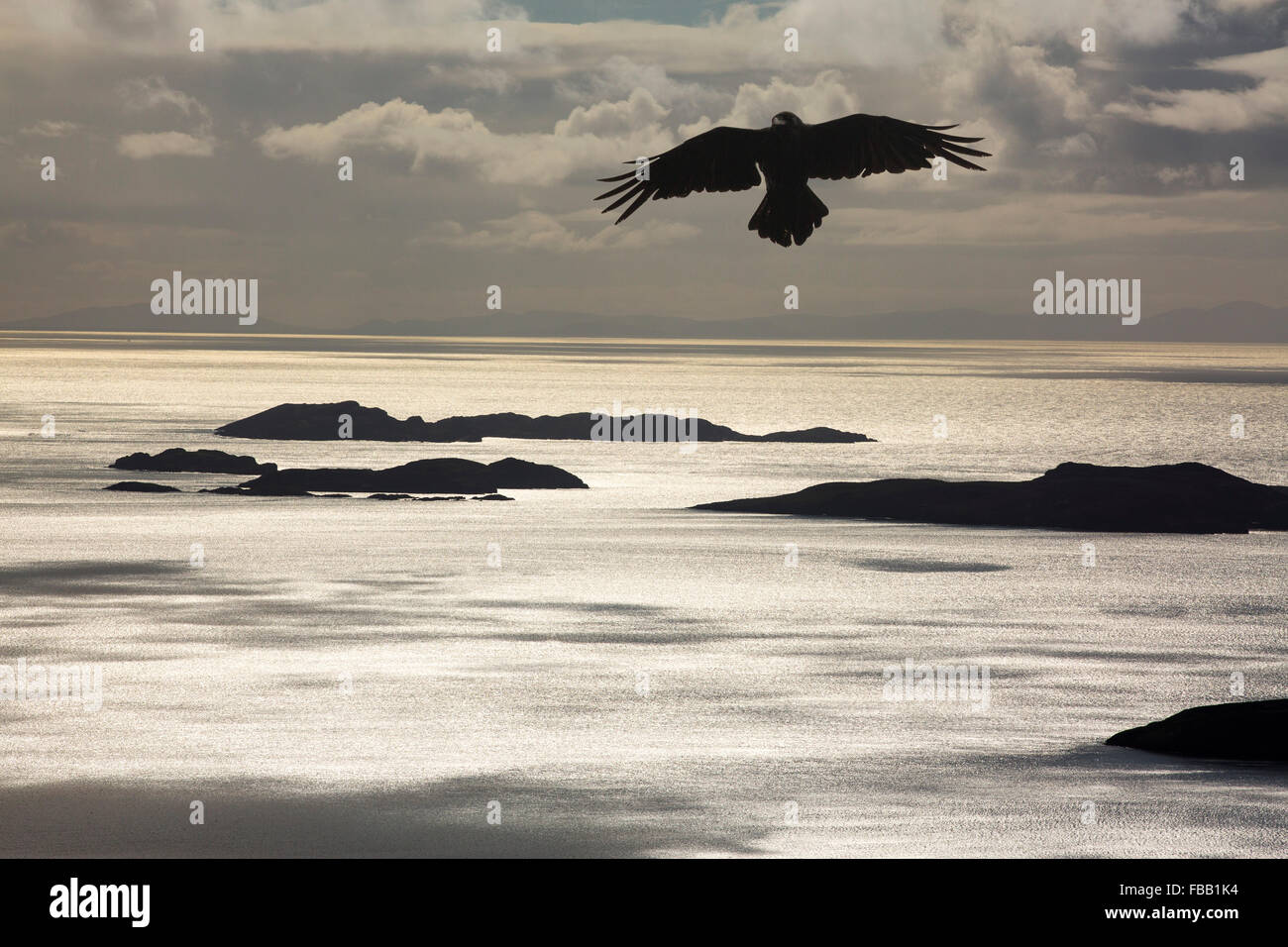 Die Summer Isles von Ullapool in den Highlands, Schottland, Großbritannien, von Ben Mor Coigach mit einem Raben. Stockfoto