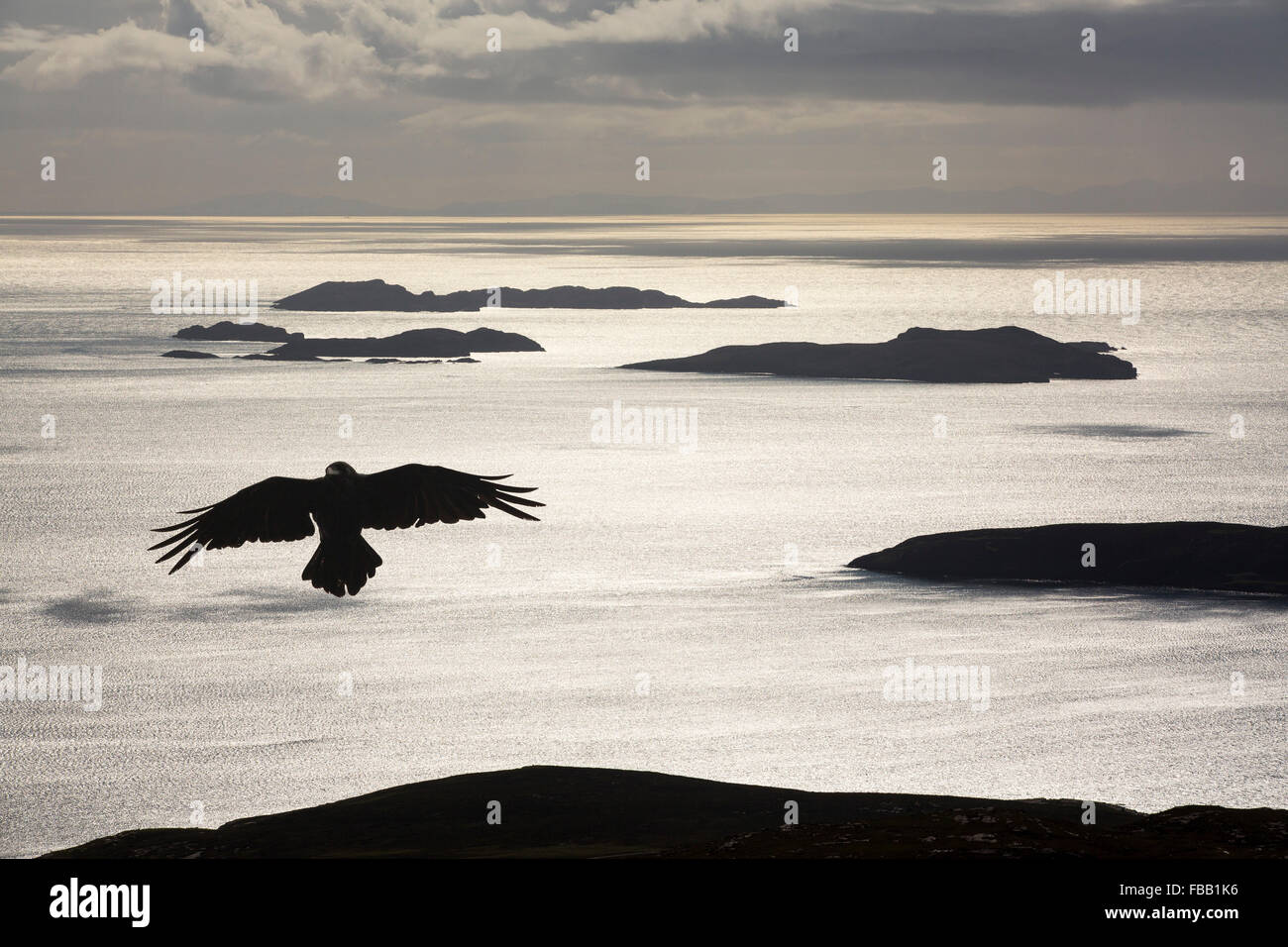 Die Summer Isles von Ullapool in den Highlands, Schottland, Großbritannien, von Ben Mor Coigach mit einem Raben. Stockfoto