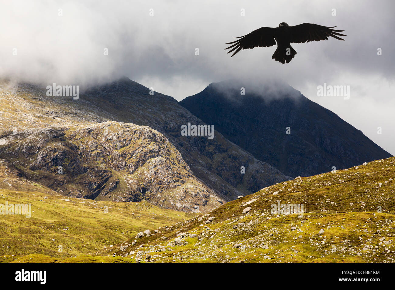 Die North Harris Berge, Isle of Harris, äußeren Hebriden, Schottland mit einem Raben. Stockfoto