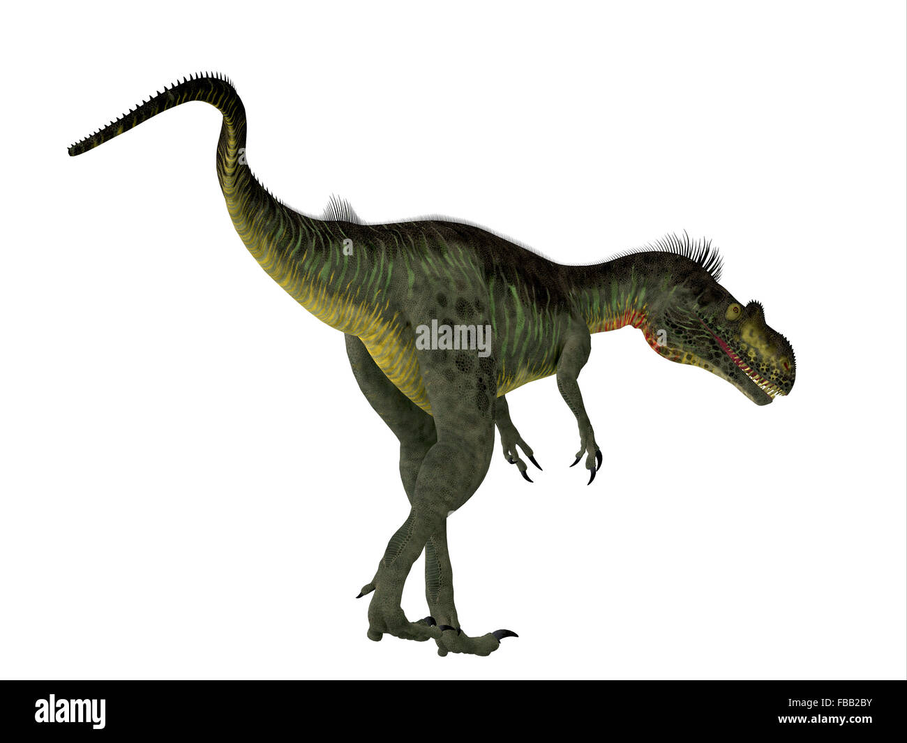 Megalosaurus war ein großer fleischfressender theropoder Dinosaurier, der in der Europäischen Jurassic Zeitraum gelebt. Stockfoto