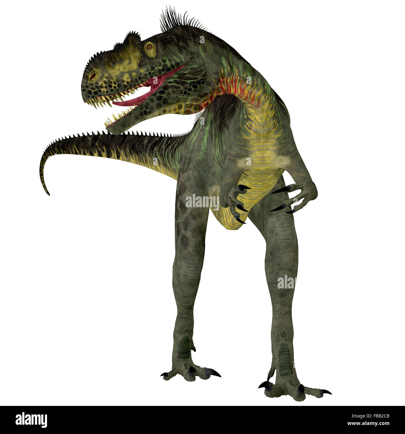Megalosaurus war ein großer fleischfressender theropoder Dinosaurier, der in der Europäischen Jurassic Zeitraum gelebt. Stockfoto