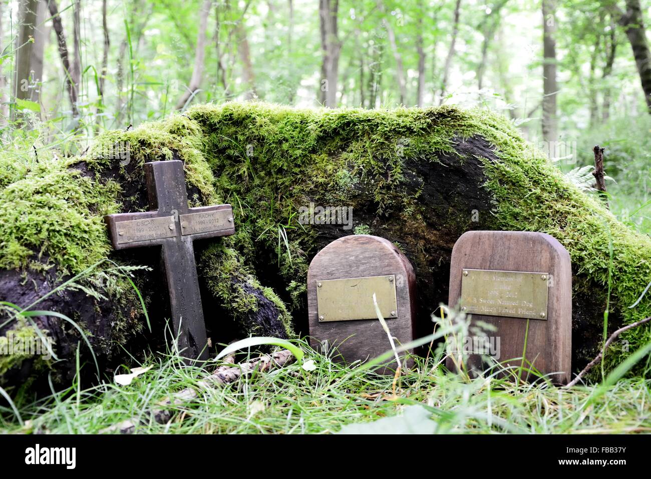 Tierfriedhof in einem Waldgebiet. Ein Denkmal für Familie Haustiere in einem britischen Laubholz Stockfoto
