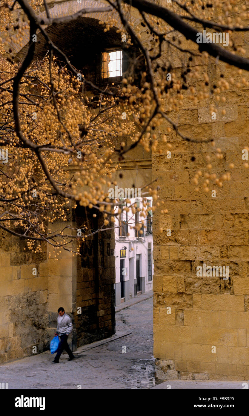 Córdoba.Andalusia Spanien: Almódovar Tor, in der Cairuán Straße Stockfoto