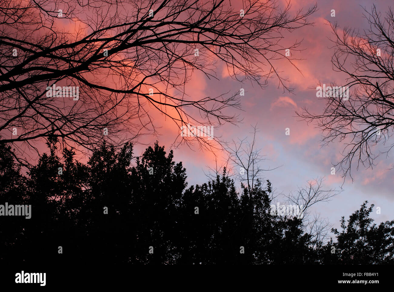 Roter Himmel in der Toskana (Januar 2015) Stockfoto