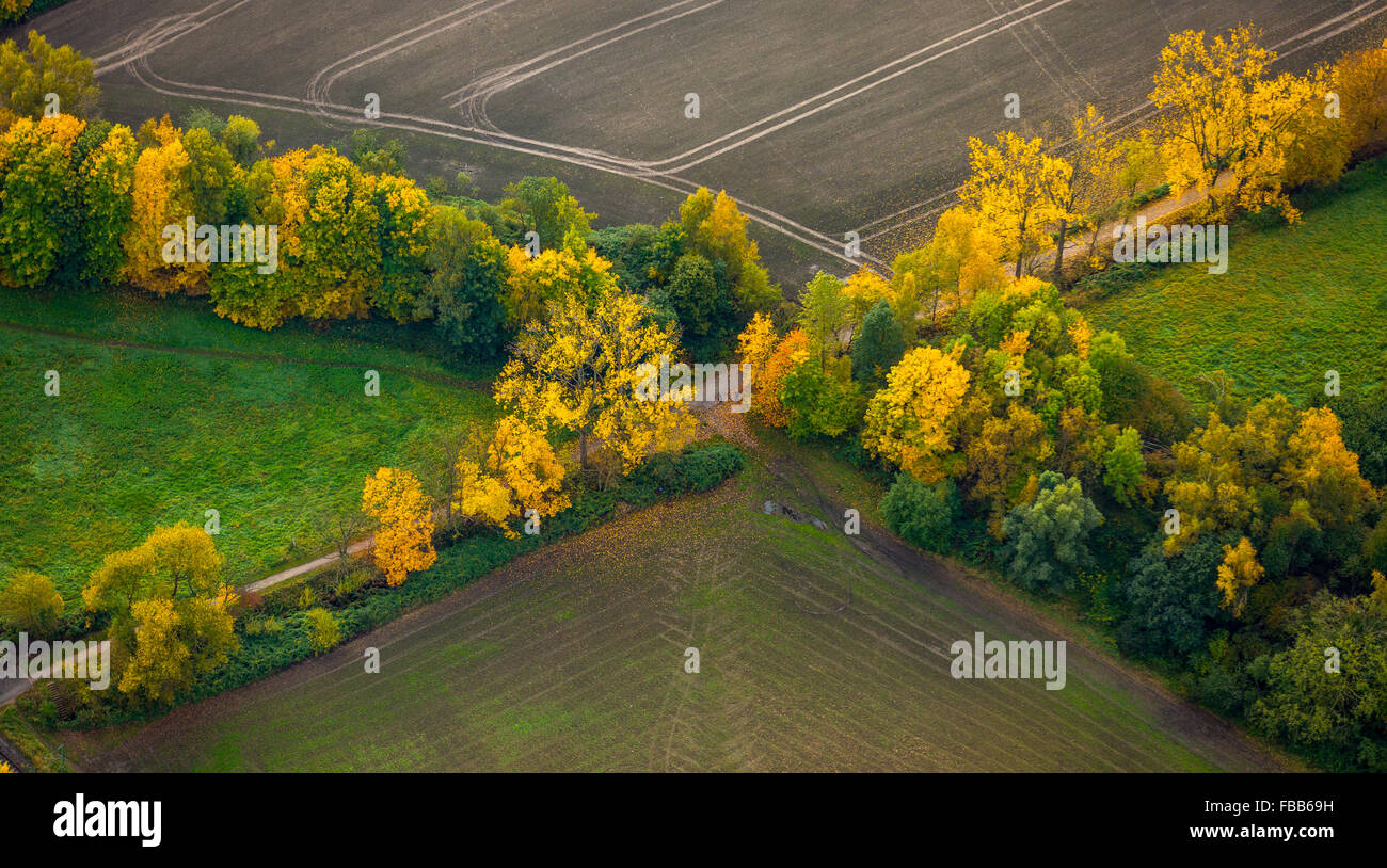Luftbild, Gassen, Wege, Kreuzung, Kreuzung Avenue, herbstliche Büsche, Herbstlaub, Dortmund, Ruhrgebiet, Stockfoto