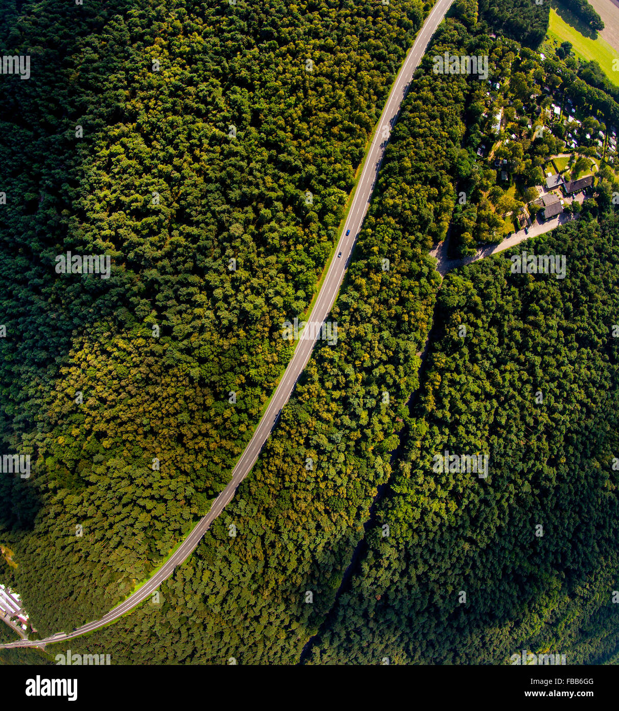 Luftaufnahme, Wald von einem vertikalen Ansicht, Perpendicular Recording, fisheye-Objektiv, Laubwald mit einem s-förmigen Pfad, Haltern Stockfoto