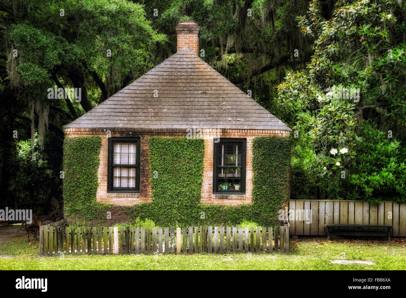 Kleine Efeu bedeckt Gebäude unter dicken Swamp Vegetation, Middleton Place Plantation, Summerville, South Carolina Stockfoto