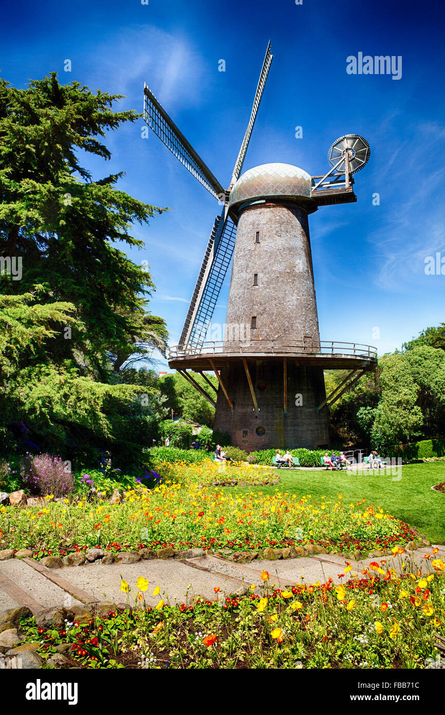 Niedrigen Winkel Ansicht der holländischen Windmühle mit blühenden Tulpen und Mohn, Golden Gate Park, San Francisco, Kalifornien Stockfoto