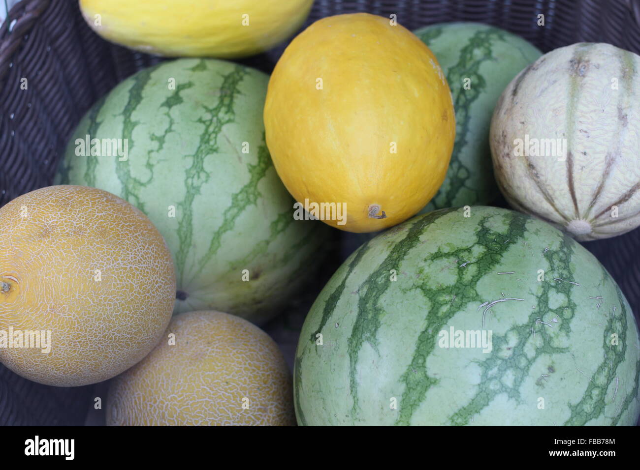 Einige Sorten von Melonen in einem Korb Stockfoto