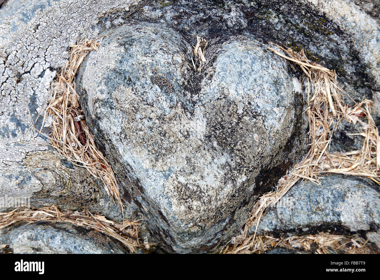 Herz aus Stein in ein Grab Platte eingraviert; es symbolisiert unterschiedliche Auswirkungen wie Liebe, Flintiness, Erinnerung, Hommage an s. Stockfoto
