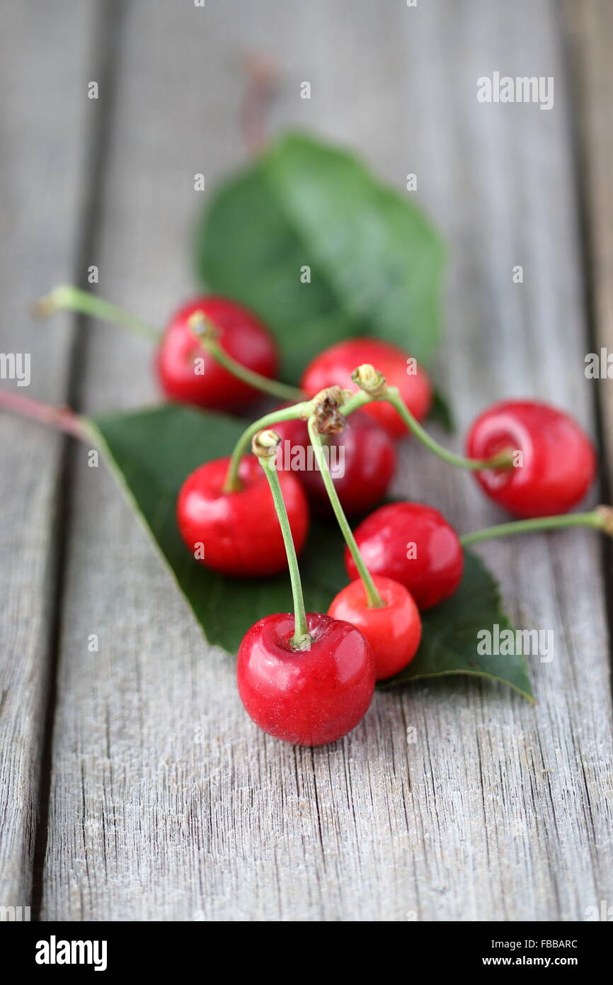 Nahaufnahme von Prunus Avium Kirschen oder bekannt als Lapin Kirschen auf Holzbrett Stockfoto