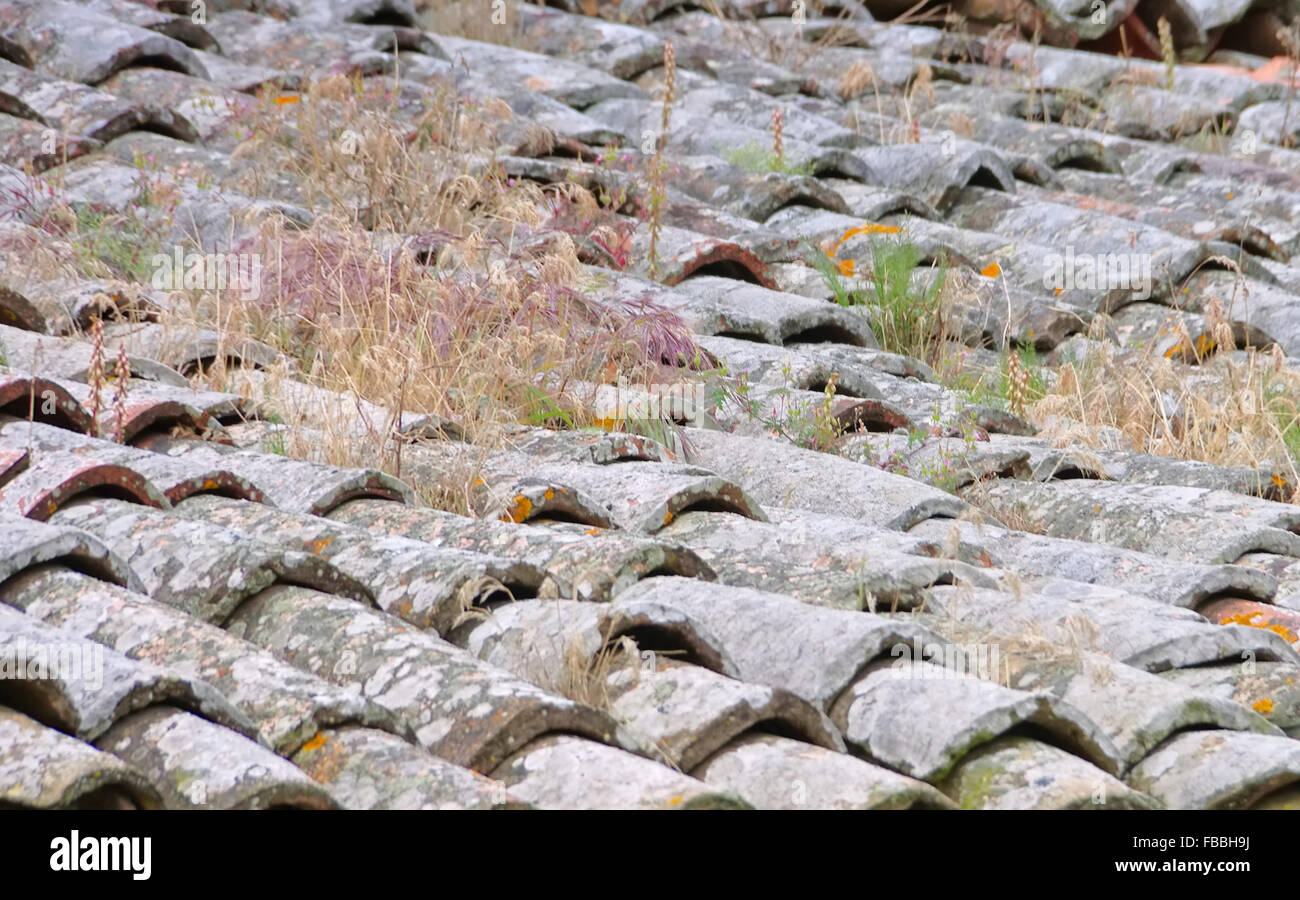 Dachziegel - Dach-Ziegel 36 Stockfoto