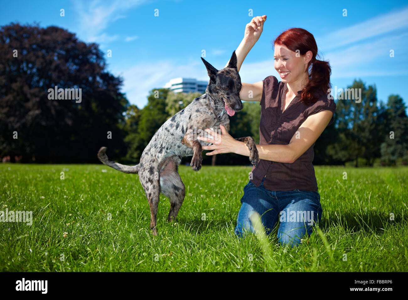 Glückliche Frau mit ihr springen Hund draußen spielen Stockfoto