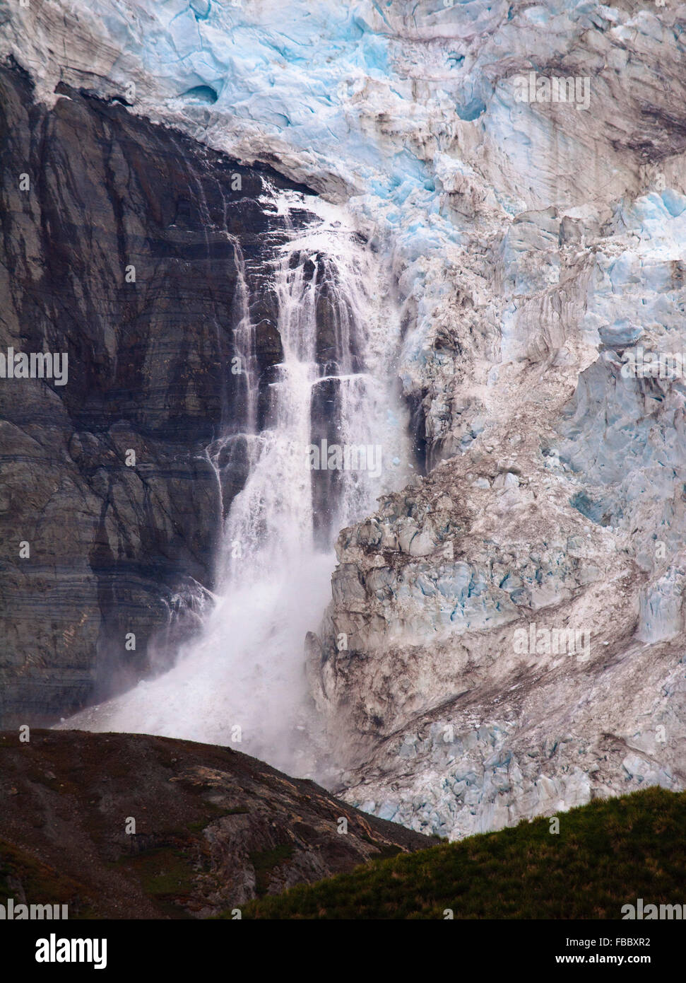 Kalbende Gletscher Gold Harbour, Süd-Georgien Stockfoto