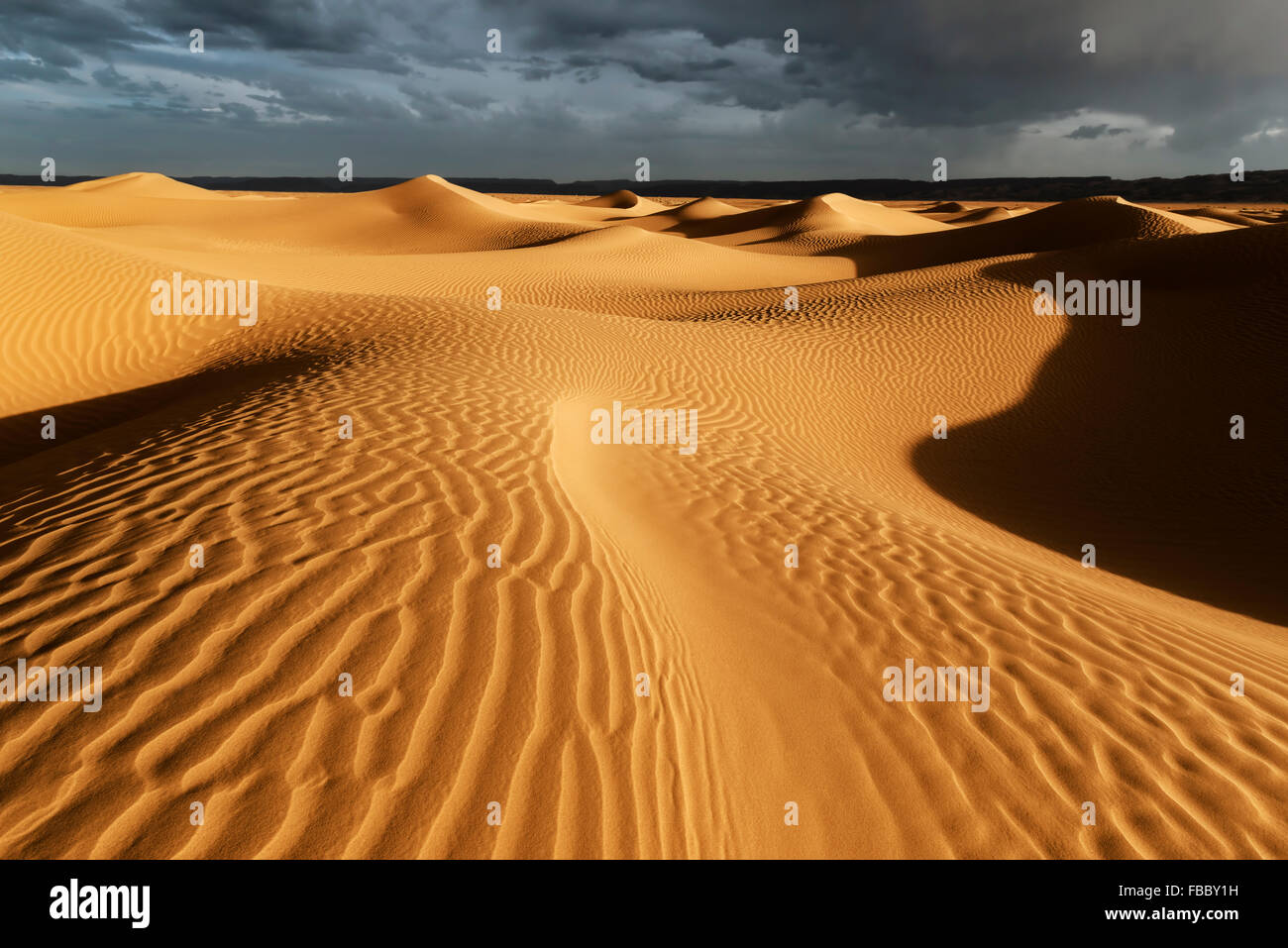 Sahara-Sand-Dünen mit stürmischen, bewölkten Himmel, Marokko. Stockfoto